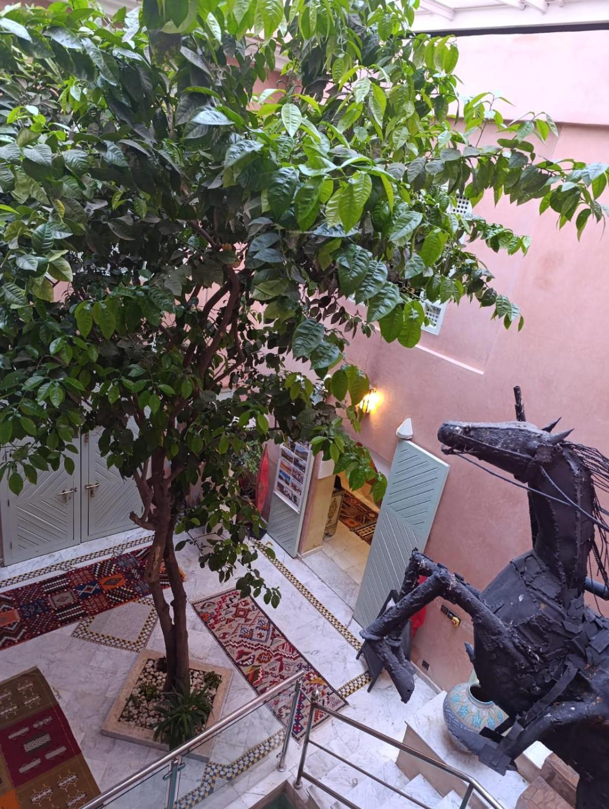 Riad Moullaoud Marrakesh Exterior photo
